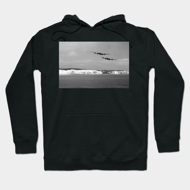 Birds Over The Cliffs Hoodie by aviationart